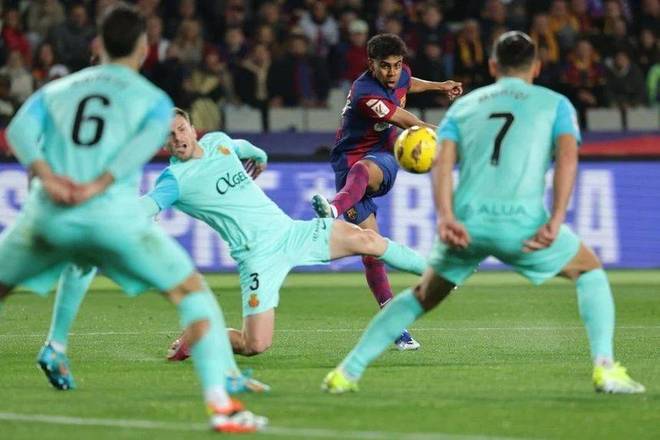 还在进化！贾马尔·穆雷本赛季六项数据创下生涯新高